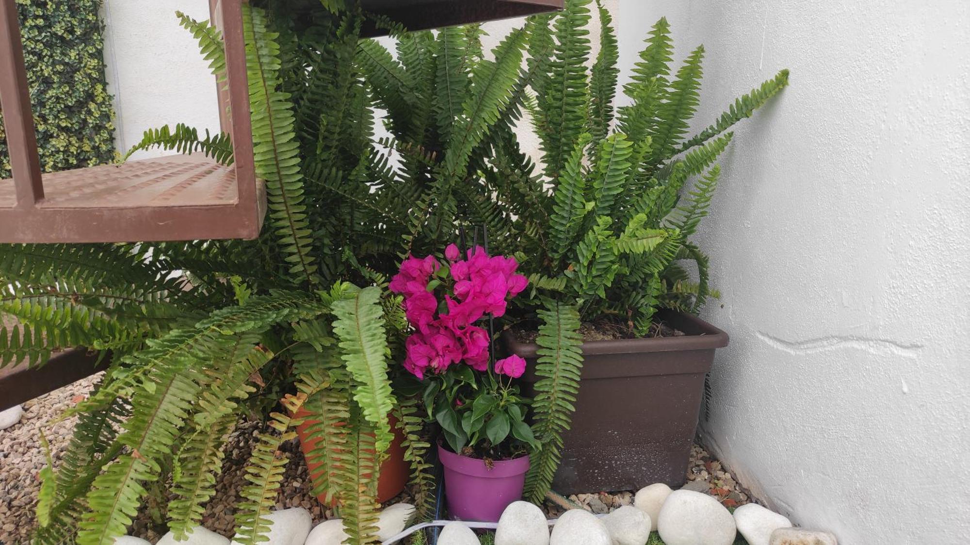 Сasa de vacaciones Casa Carmela Axarquia *